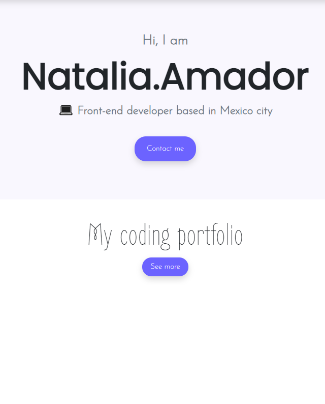 Nat.Am Responsive website overview